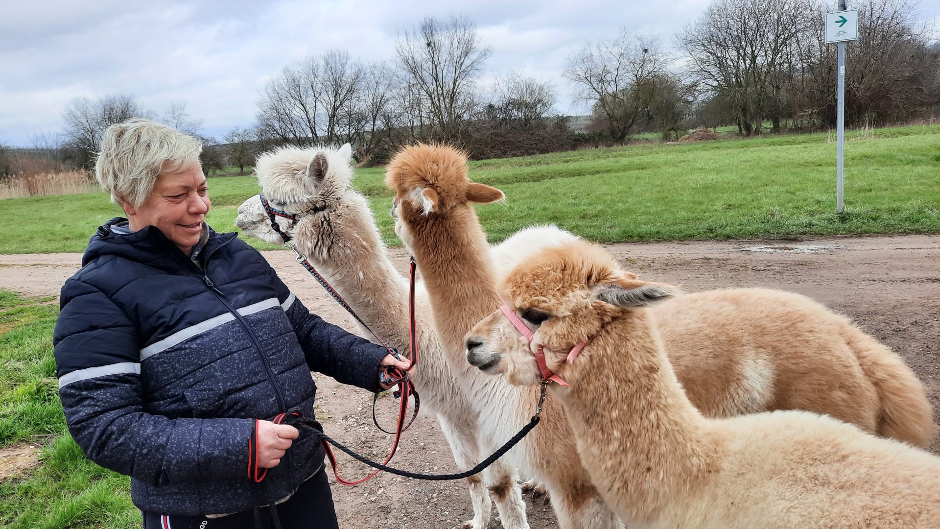 1. Wanderung mit Ylvi Ulrikes Alpaka Farm