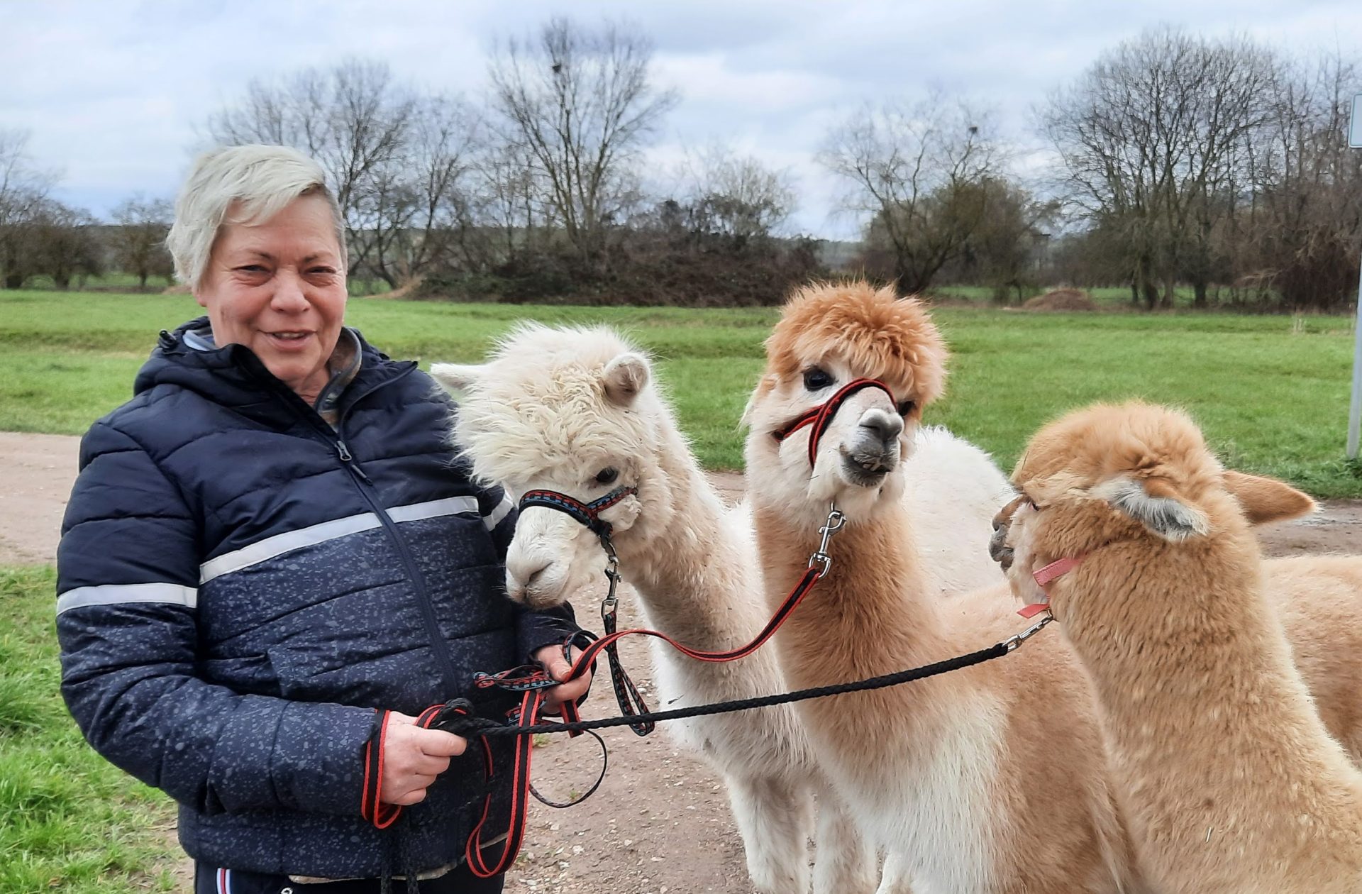 1. Wanderung mit Ylvi Ulrikes Alpaka Farm