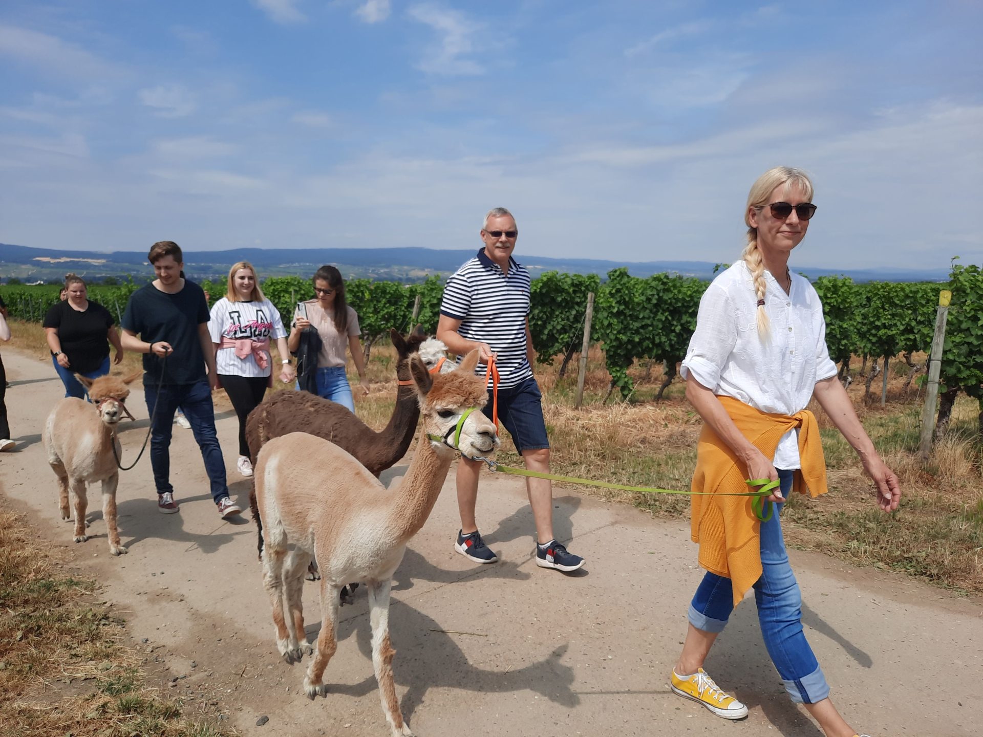 Wer will den Zahn ziehen Ulrikes Alpaka Farm